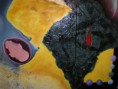 /album/galerie-de-photos-galerie-avant-2011/a57-origine-6-detail-jpg/
